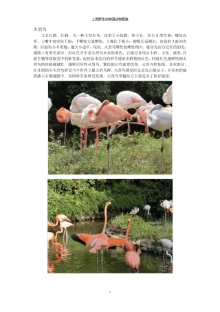 上海野生动物园动物介绍