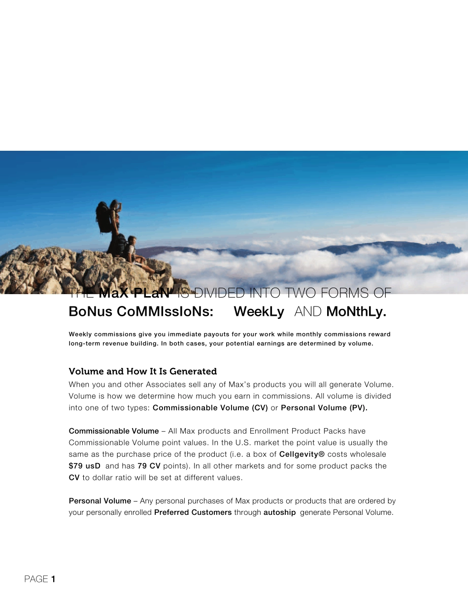 下载奖金计划PDF文件(英文)_第2页