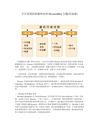 不可忽视的转膜和封闭WesternBlot专题(经验篇)