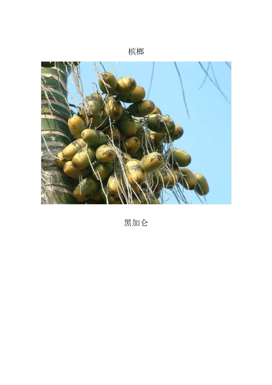 不常见水果大全,你一定没见过_第2页