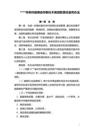 不良贷款责任追究办法