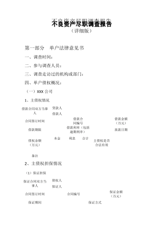 不良资产尽职调查报告