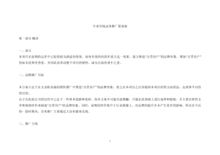 专业市场总体推广策划案