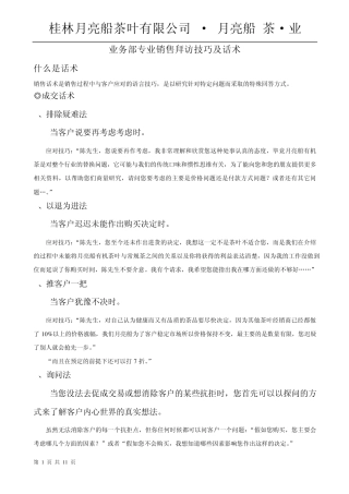 专业销售拜访技巧及话术
