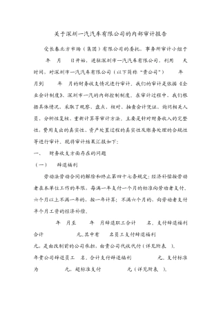 专项审计报告0928