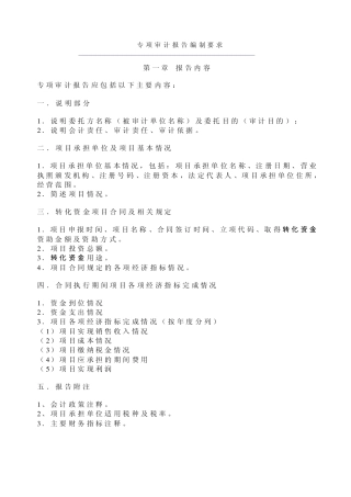 专项审计报告编制要求