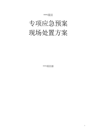 专项应急预案和现场处置方案