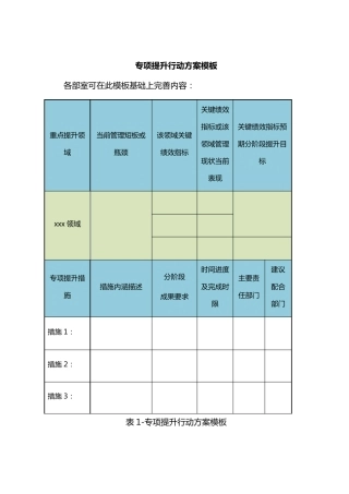 专项提升行动方案模板