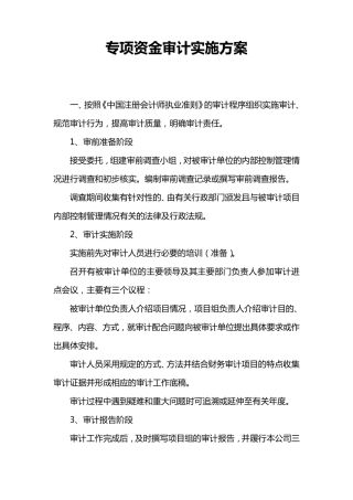 专项资金审计实施方案