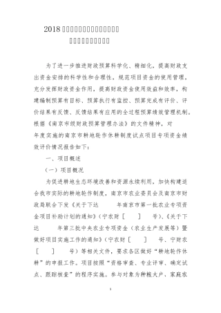 专项资金绩效评价报告