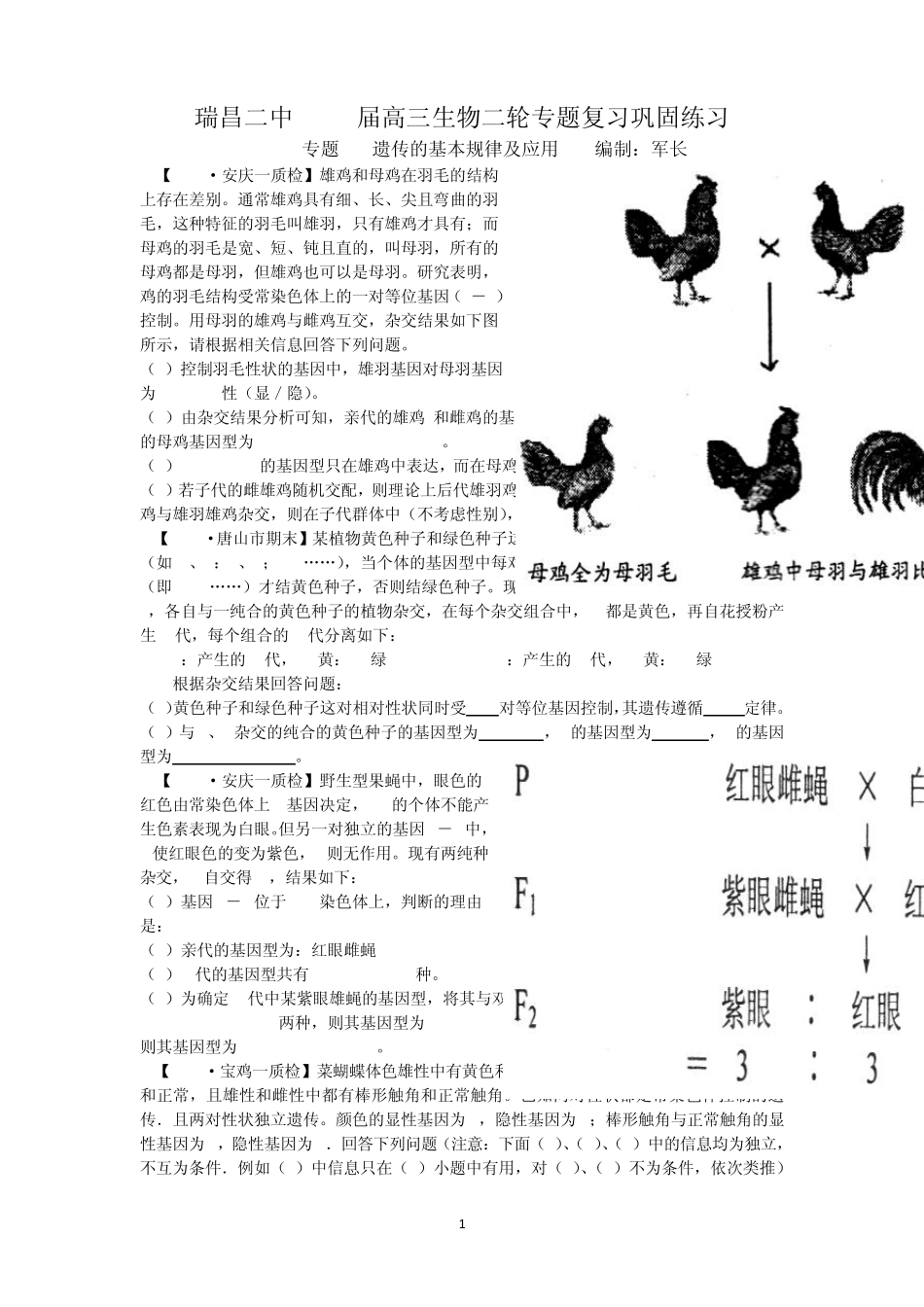 专题7遗传的基本规律及应用_第1页