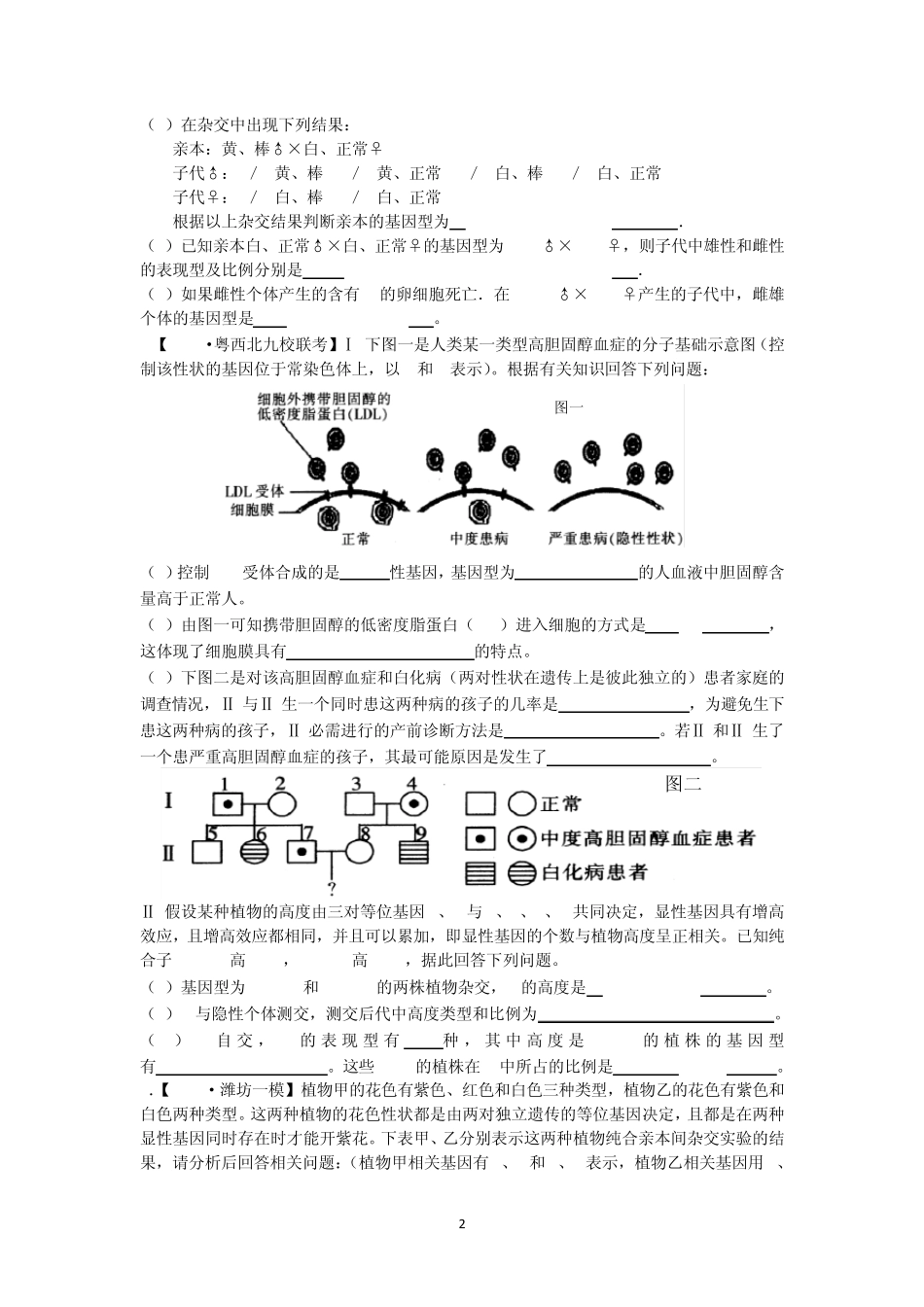 专题7遗传的基本规律及应用_第2页