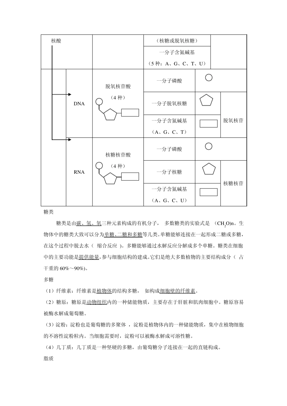 专题一细胞的分子组成与结构_第3页