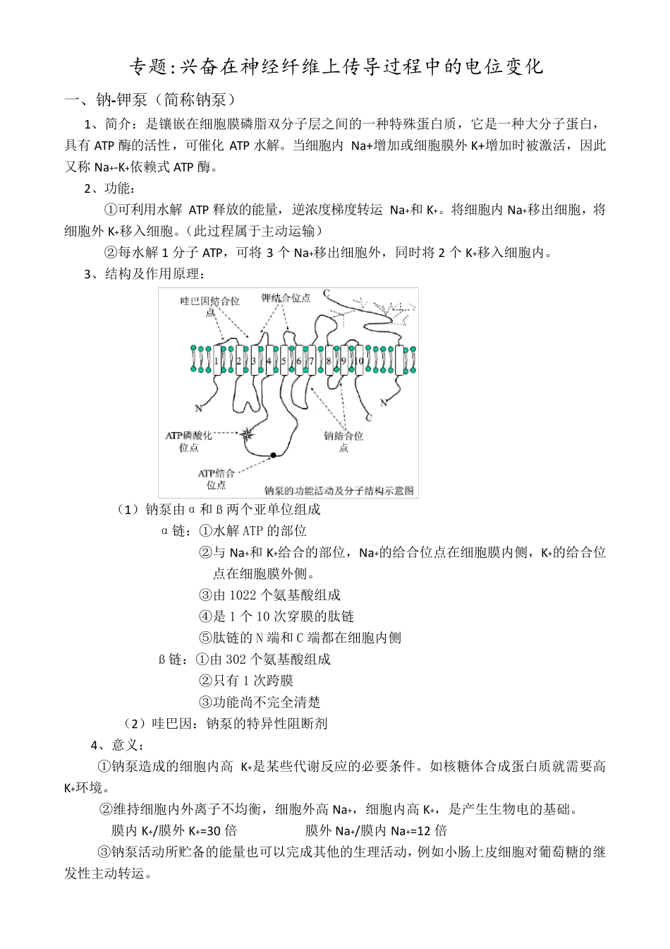 专题兴奋在神经纤维上传导过程中的电位变化_第1页