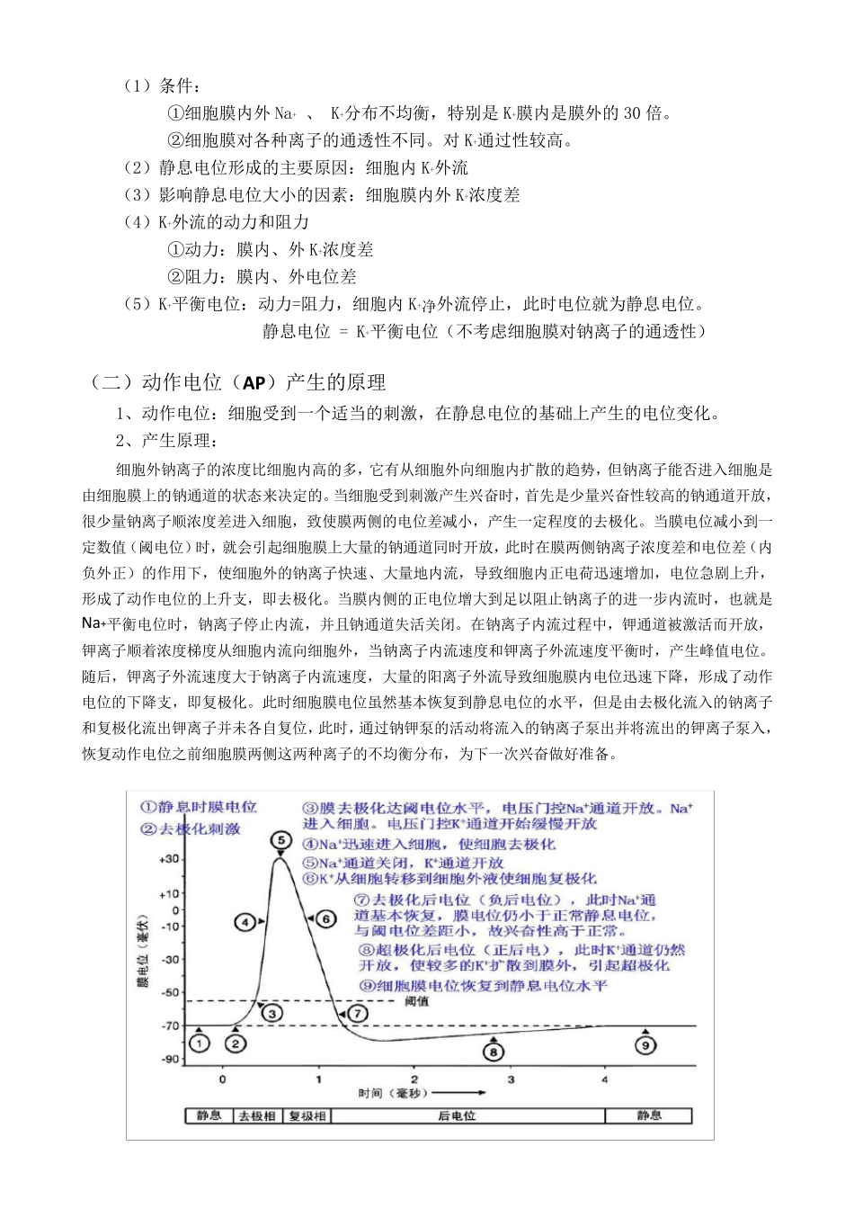 专题兴奋在神经纤维上传导过程中的电位变化_第3页