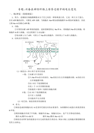 专题兴奋在神经纤维上传导过程中的电位变化