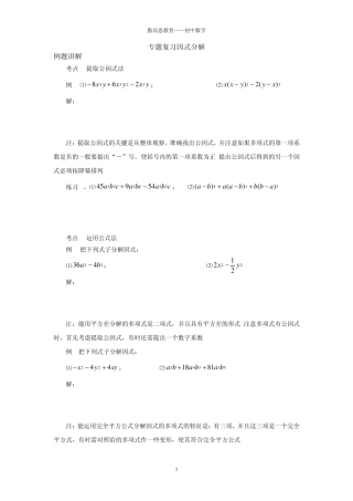 专题复习因式分解