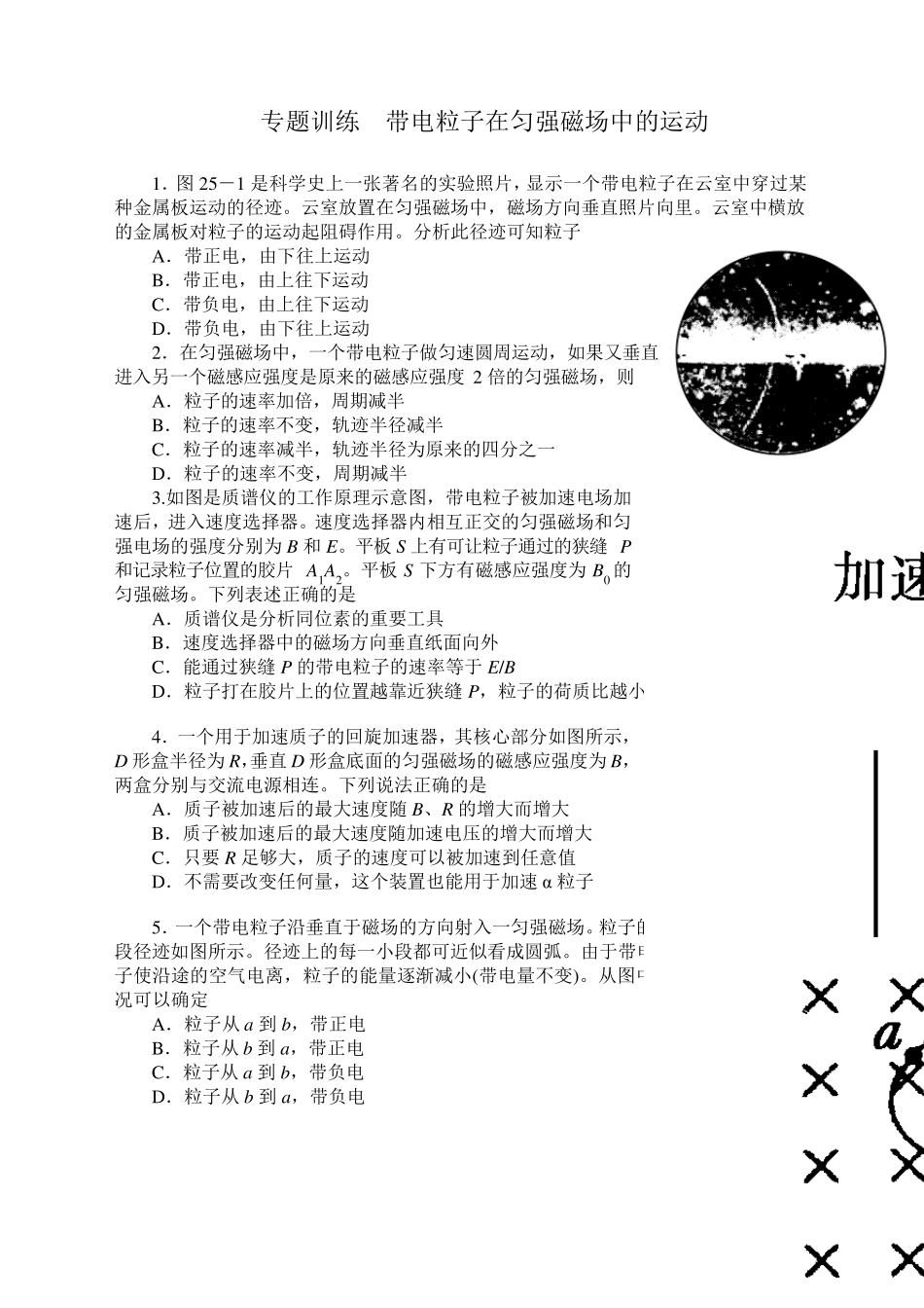 专题训练带电粒子在匀强磁场中的运动_第1页