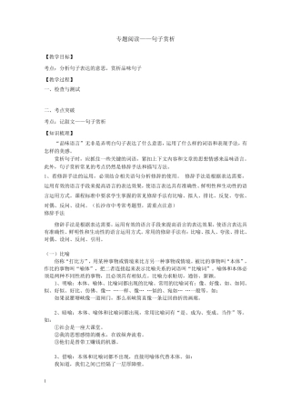 专题阅读——句子赏析(师版)