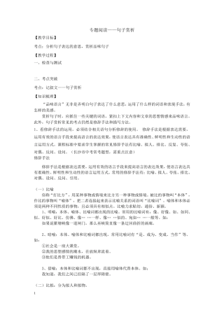 专题阅读——句子赏析