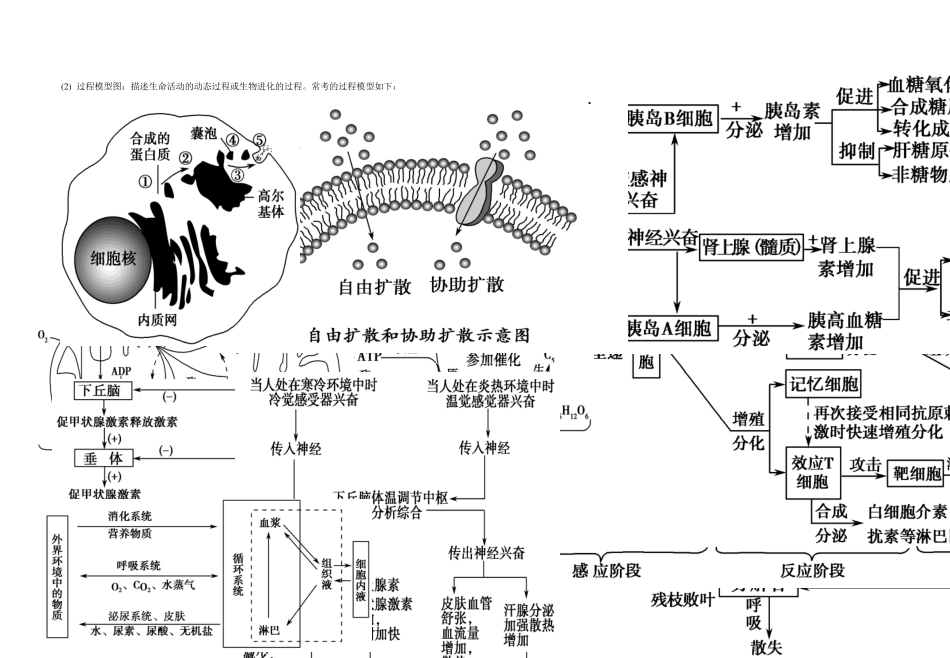 专题：生物模型建构_第3页