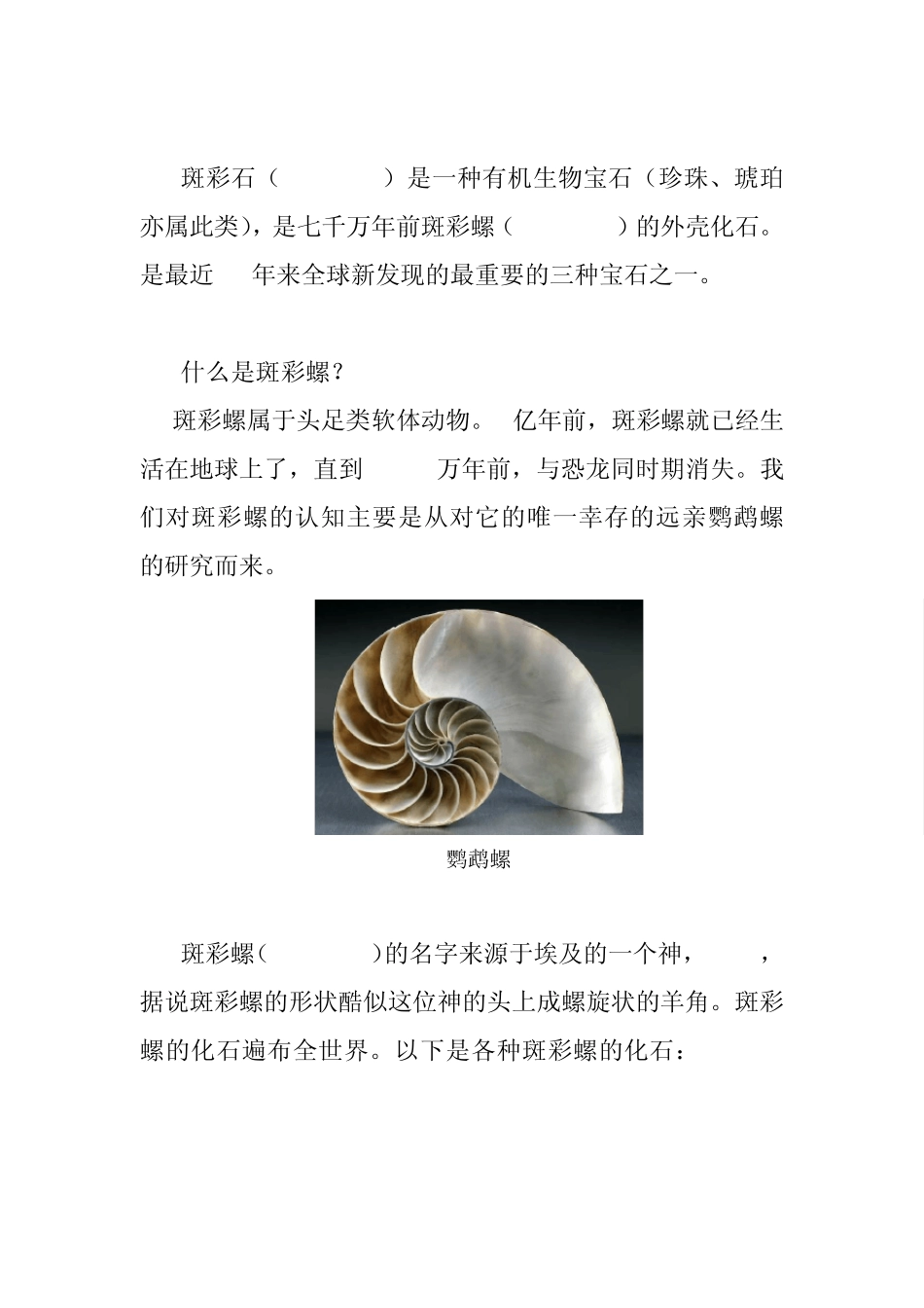 世上最稀有,最古老,最具魔幻色彩的有机宝石斑彩石_第2页