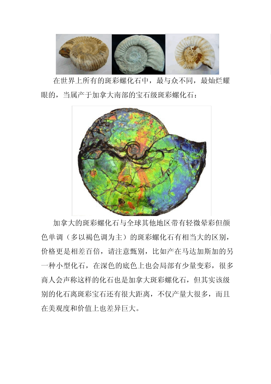 世上最稀有,最古老,最具魔幻色彩的有机宝石斑彩石_第3页