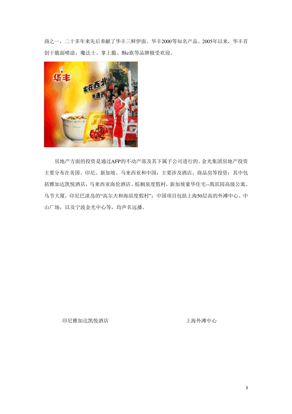 世界500强印尼金光集团简介_第3页