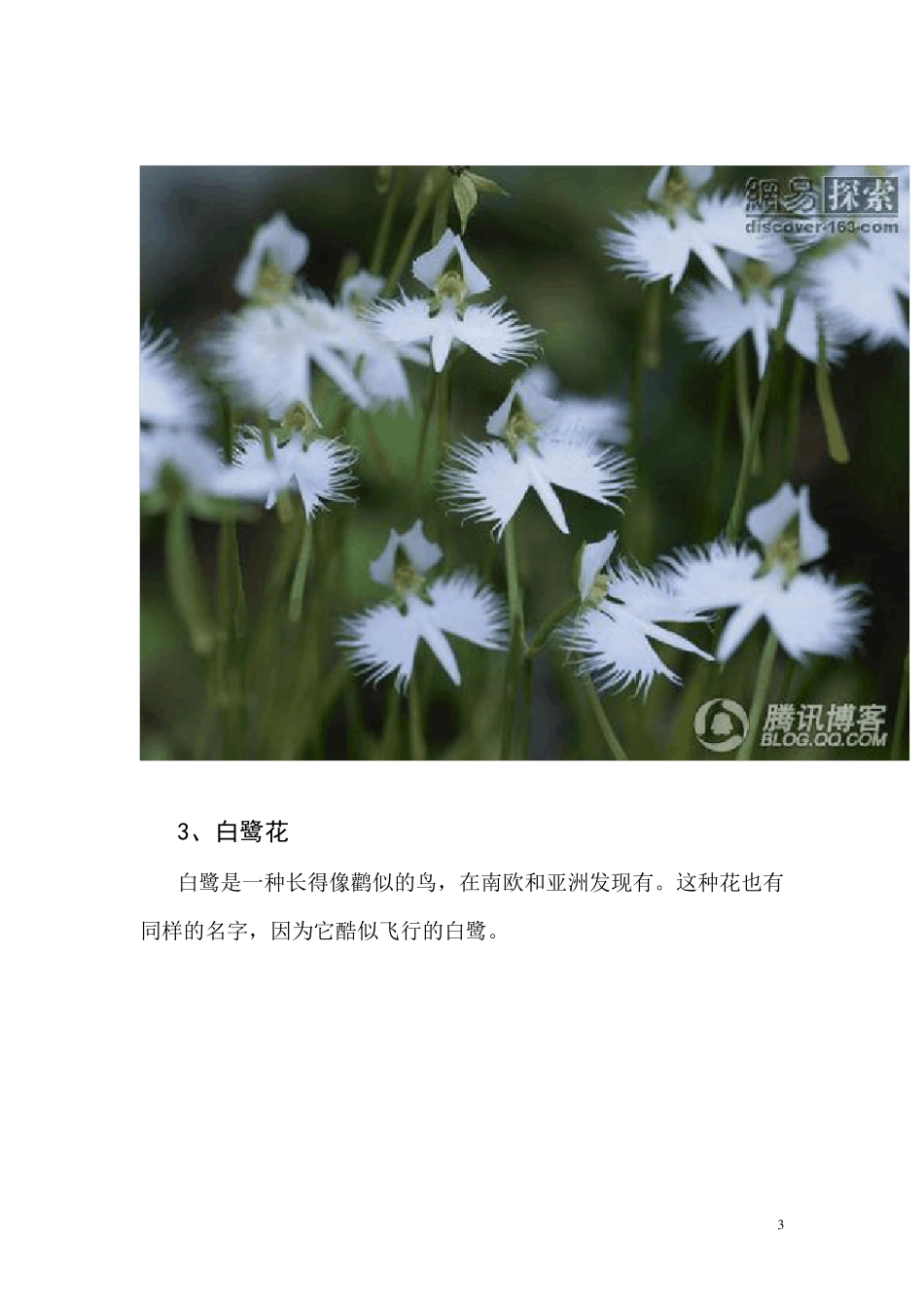 世界上十大最令人惊讶的奇异植物_第3页