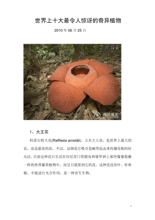 世界上十大最令人惊讶的奇异植物