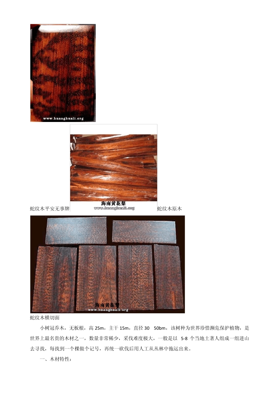 世界上密度最大的木材蛇纹木_第2页