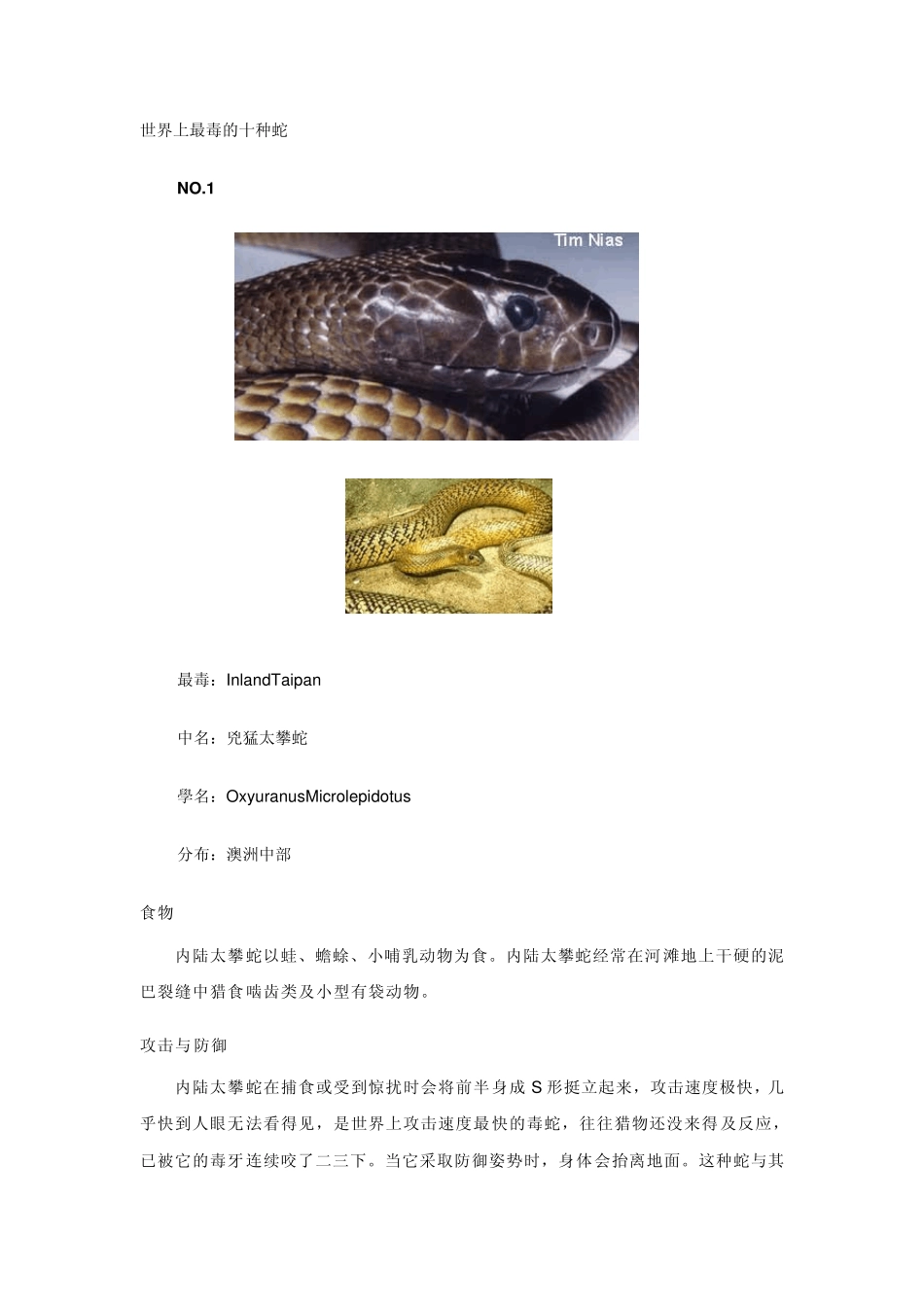 世界上最毒的十种蛇毒蛇世界毒蛇图片_第1页