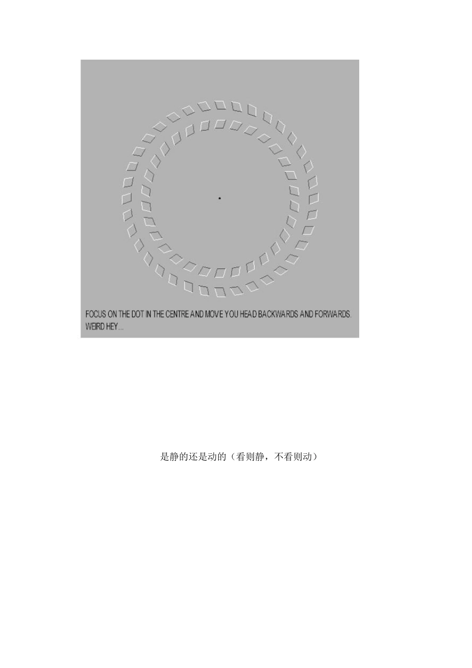 世界上最神奇的五十张图片_第3页