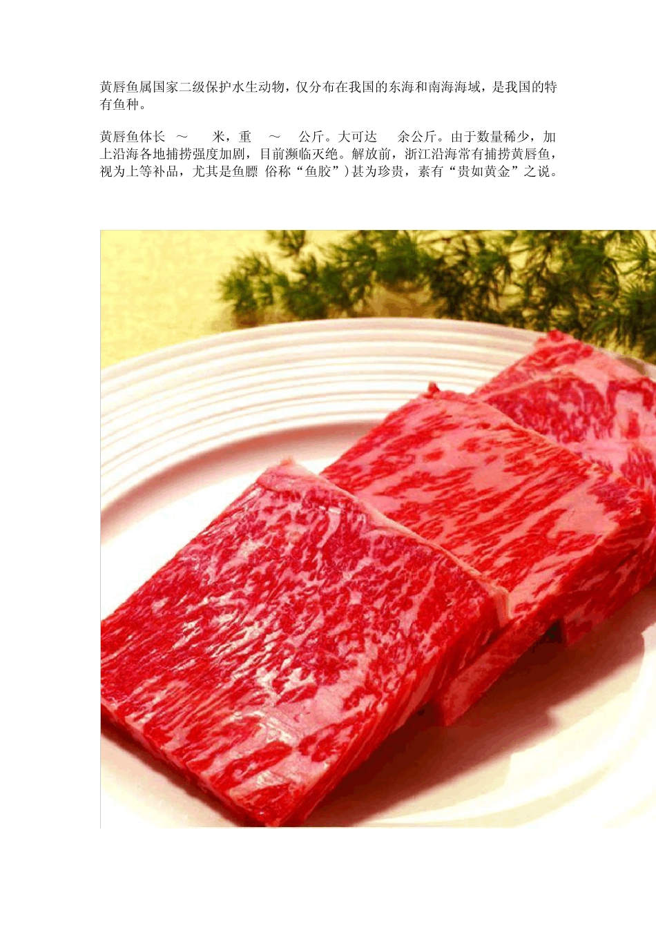 世界上最贵的食物[图文]_第3页