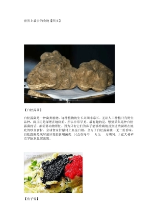 世界上最贵的食物[图文]