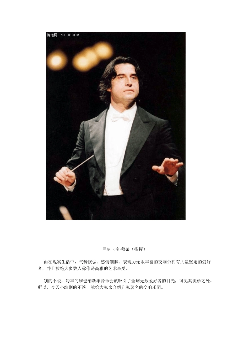 世界十大交响乐团简介_第2页