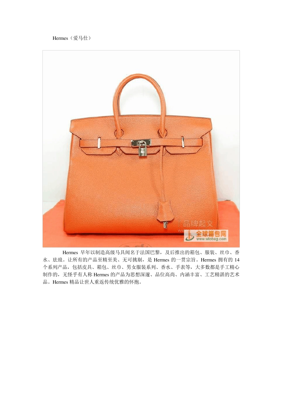 世界十大包品牌_第2页