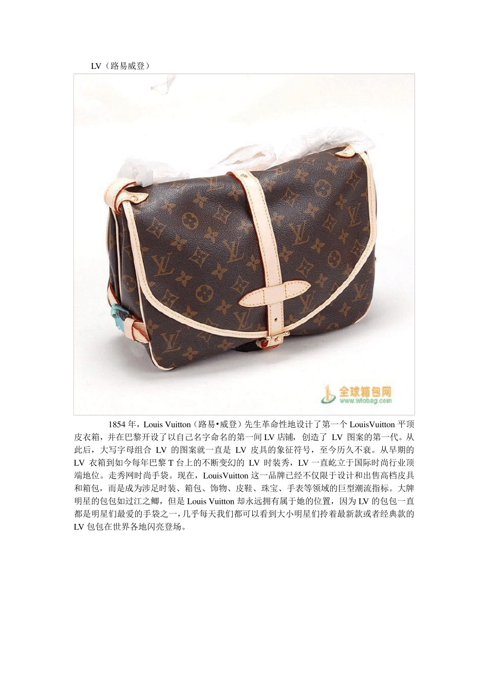 世界十大包品牌_第3页