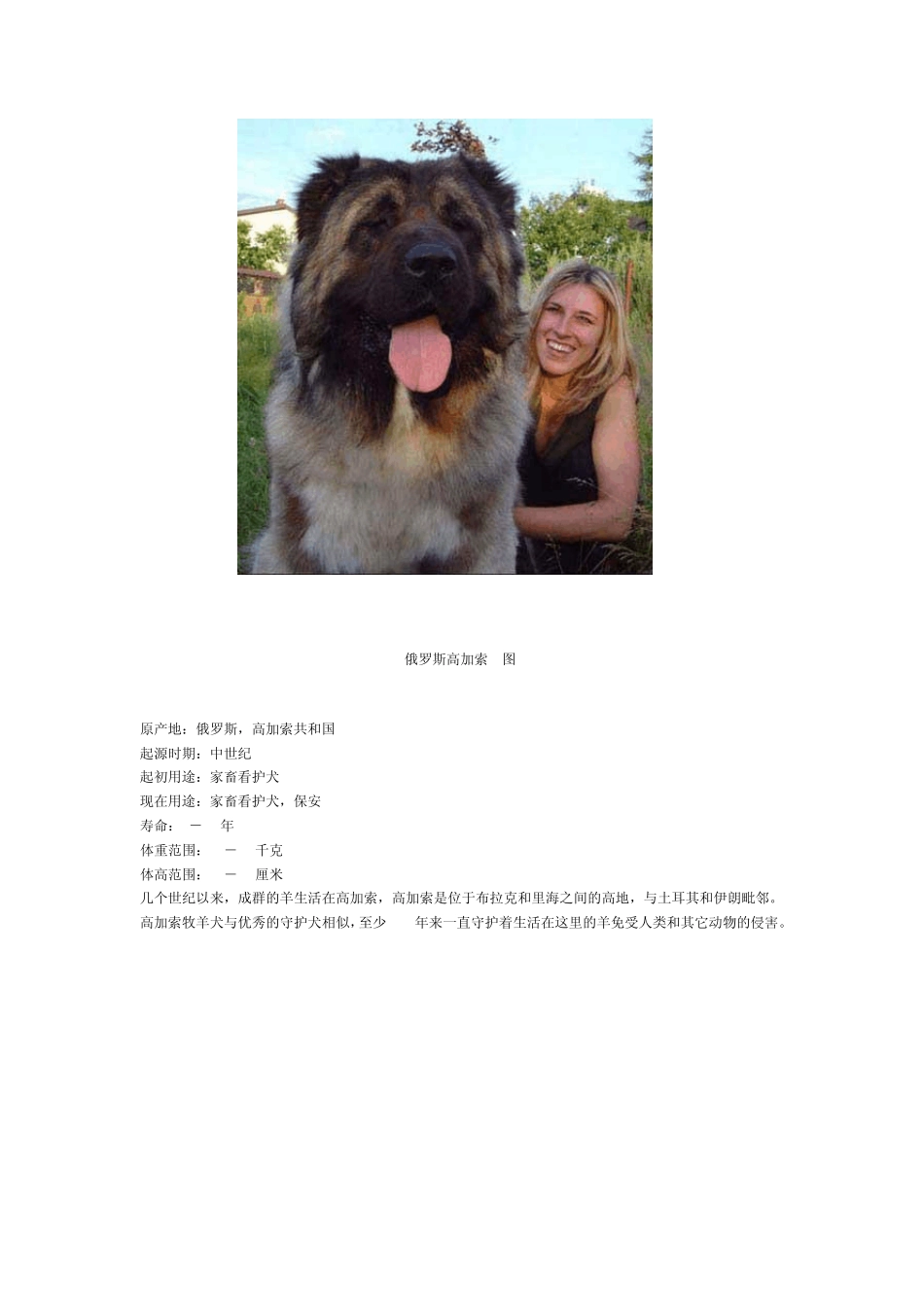 世界十大最凶悍名犬排行_第2页