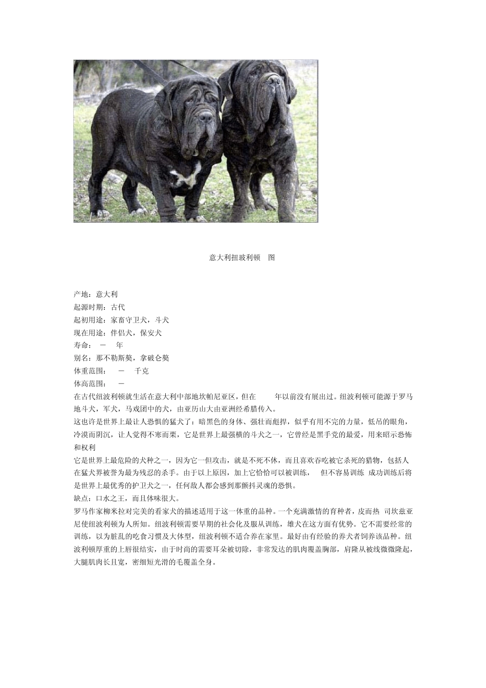 世界十大最凶悍名犬排行_第3页
