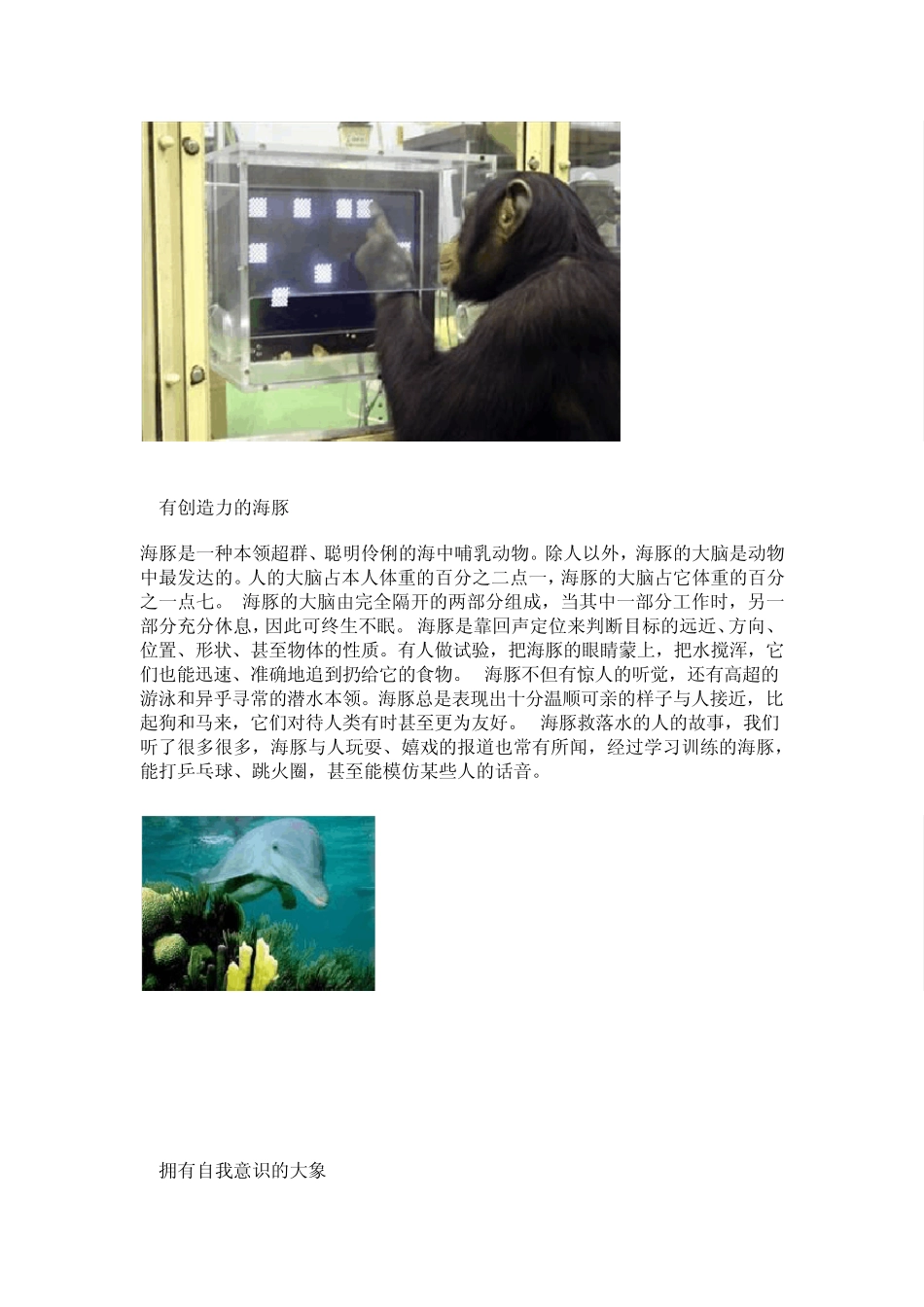 世界十大最聪明动物[图文]_第2页