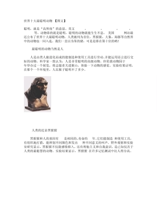 世界十大最聪明动物[图文]