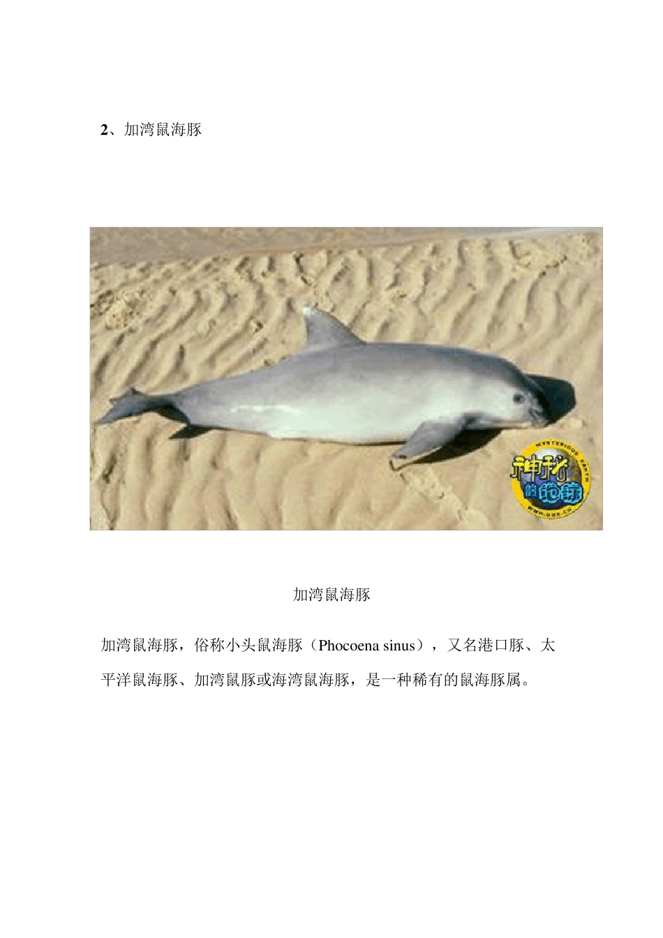 世界十大濒临灭绝的珍稀动物排行榜_第2页