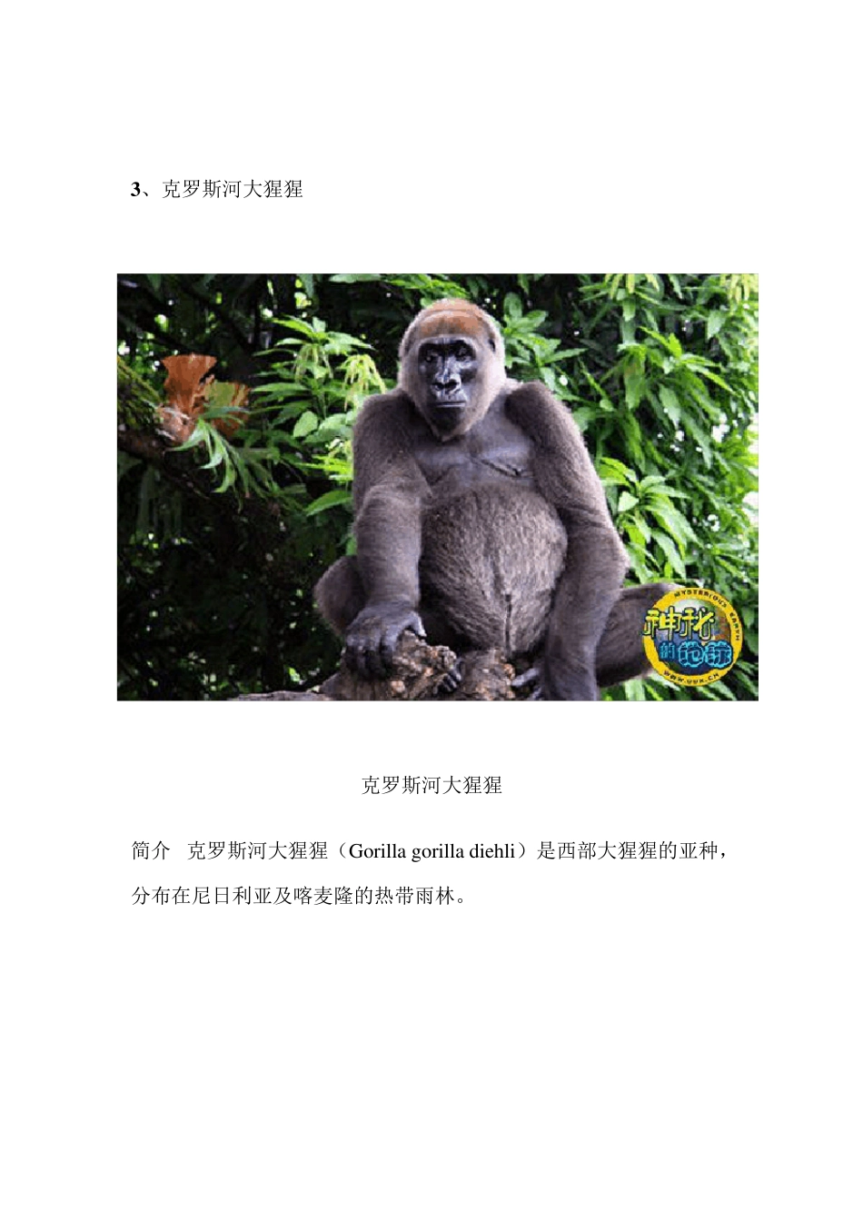 世界十大濒临灭绝的珍稀动物排行榜_第3页