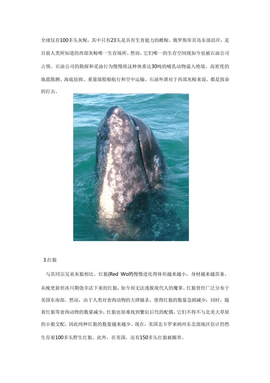 世界十大濒危动物_第2页