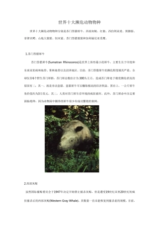 世界十大濒危动物