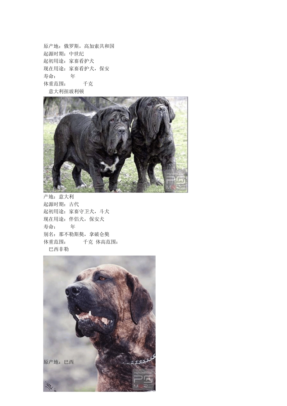 世界名犬大全,图真不容易收集_第2页