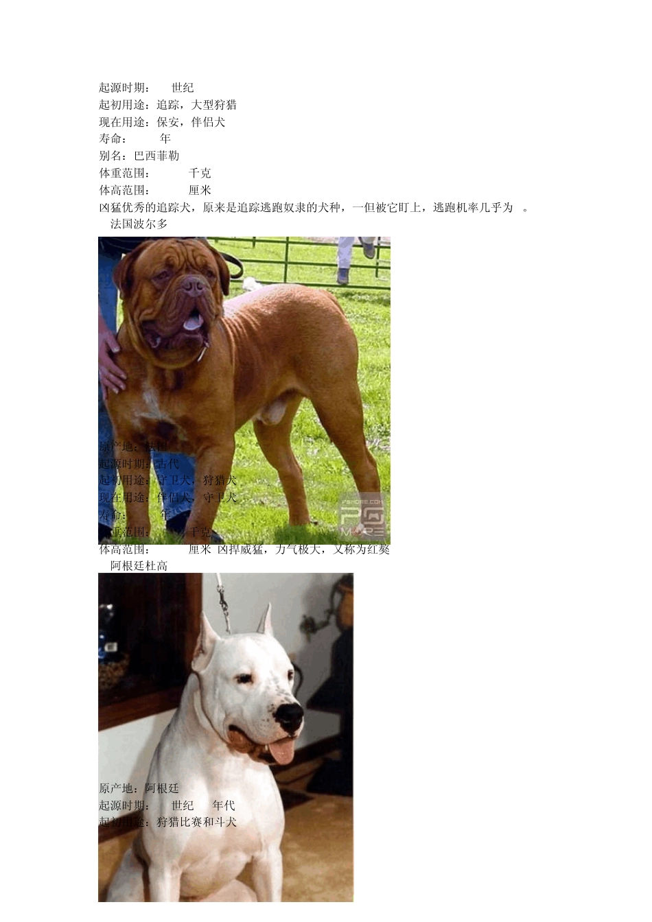 世界名犬大全,图真不容易收集_第3页