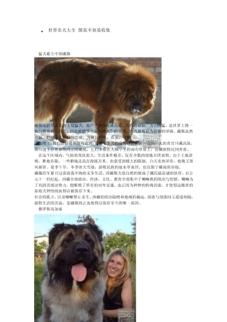 世界名犬大全,图真不容易收集
