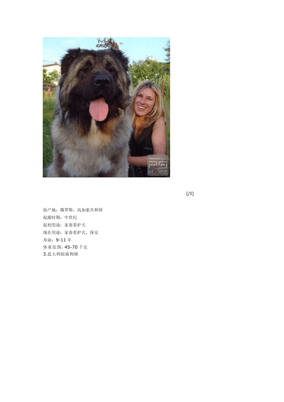 世界名犬大全_第2页